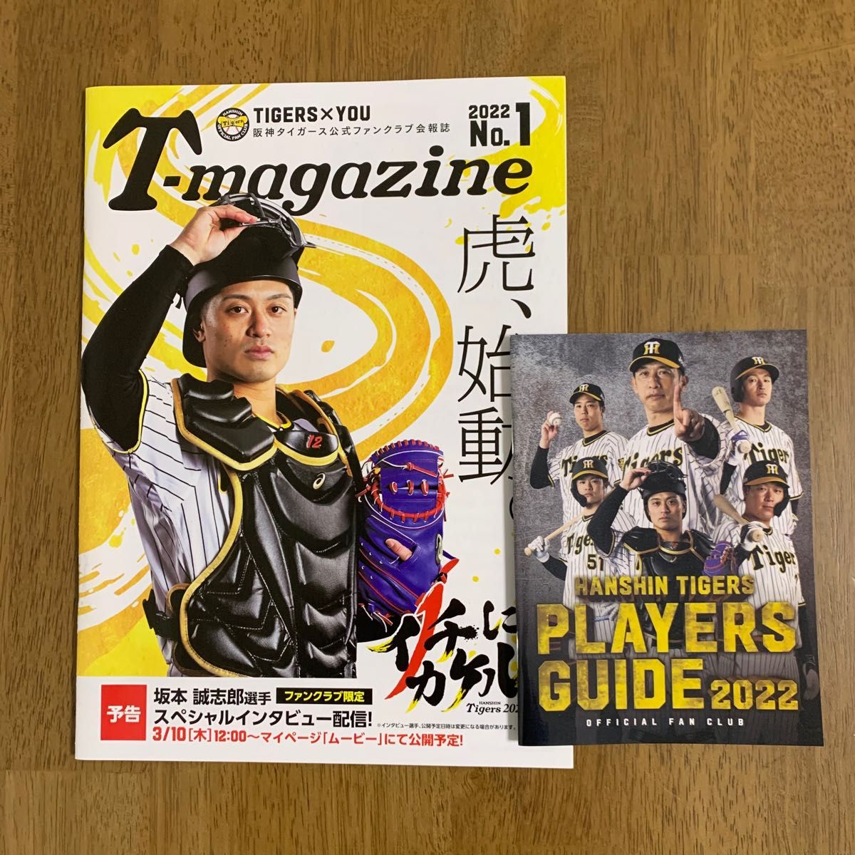 阪神タイガース　ファンクラブ会報誌　T-magazine 2022 No.1 選手名鑑