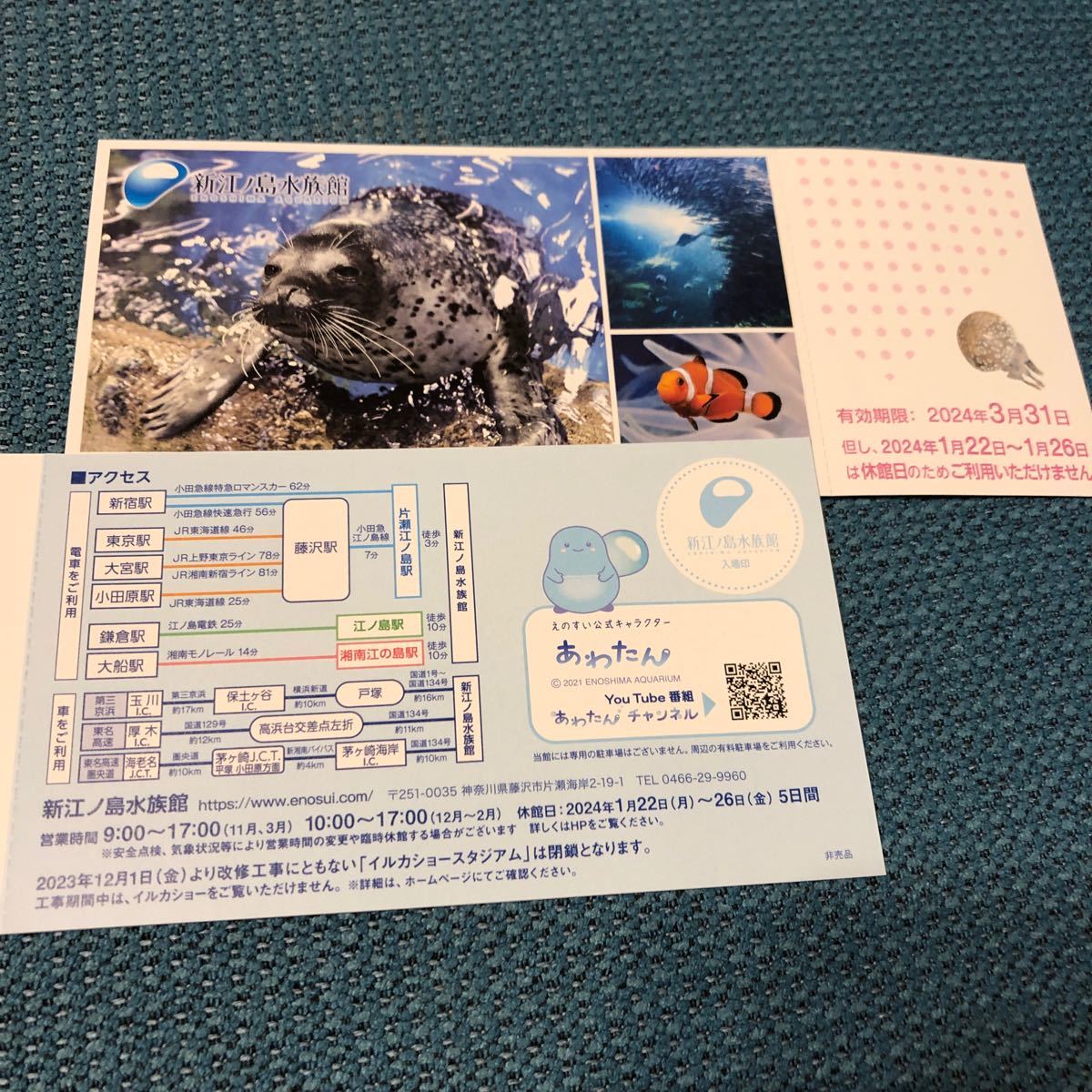 新江ノ島水族館　招待券　２枚★送料無料_画像3