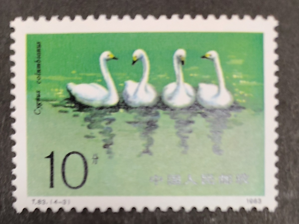 中国切手 白鳥 未使用 4種完　中国人民郵政　1983年発行_画像4