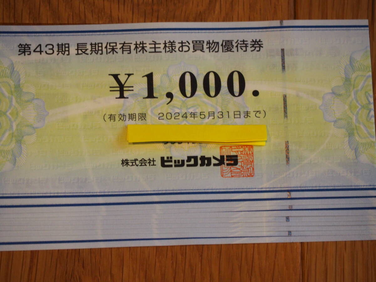 ◆ビックカメラ　株主優待券　9000円分（1000円券×9枚）◆_画像1