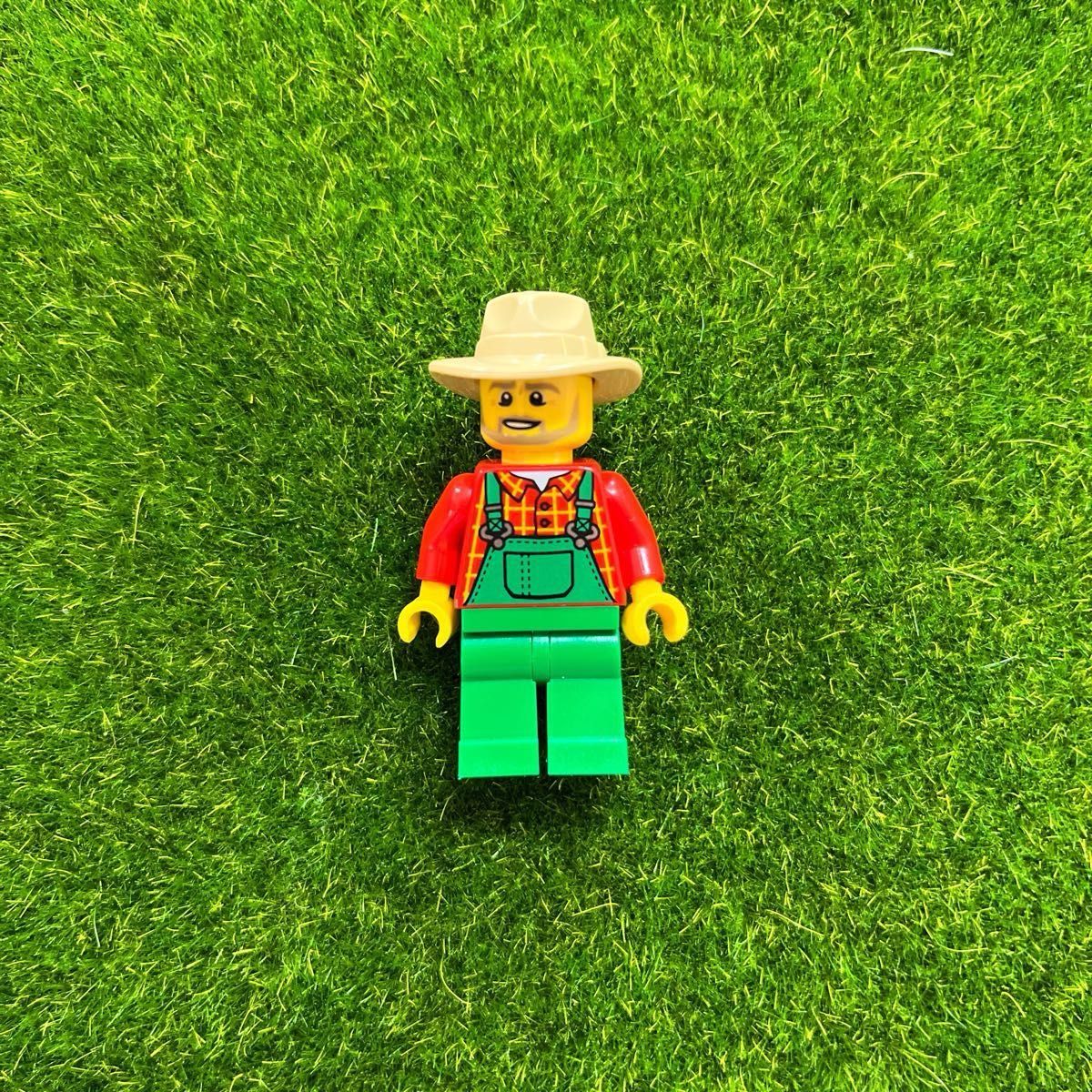 正規品レゴ ミニフィグ LEGO シティ 街の人 タウン シリーズ CITY 男の人 女の人 