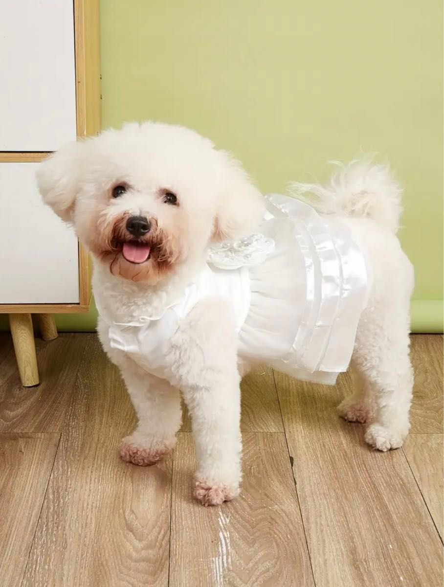 【新品未使用】 犬服 ペット ドレス ウェディングドレス ワンピース　M