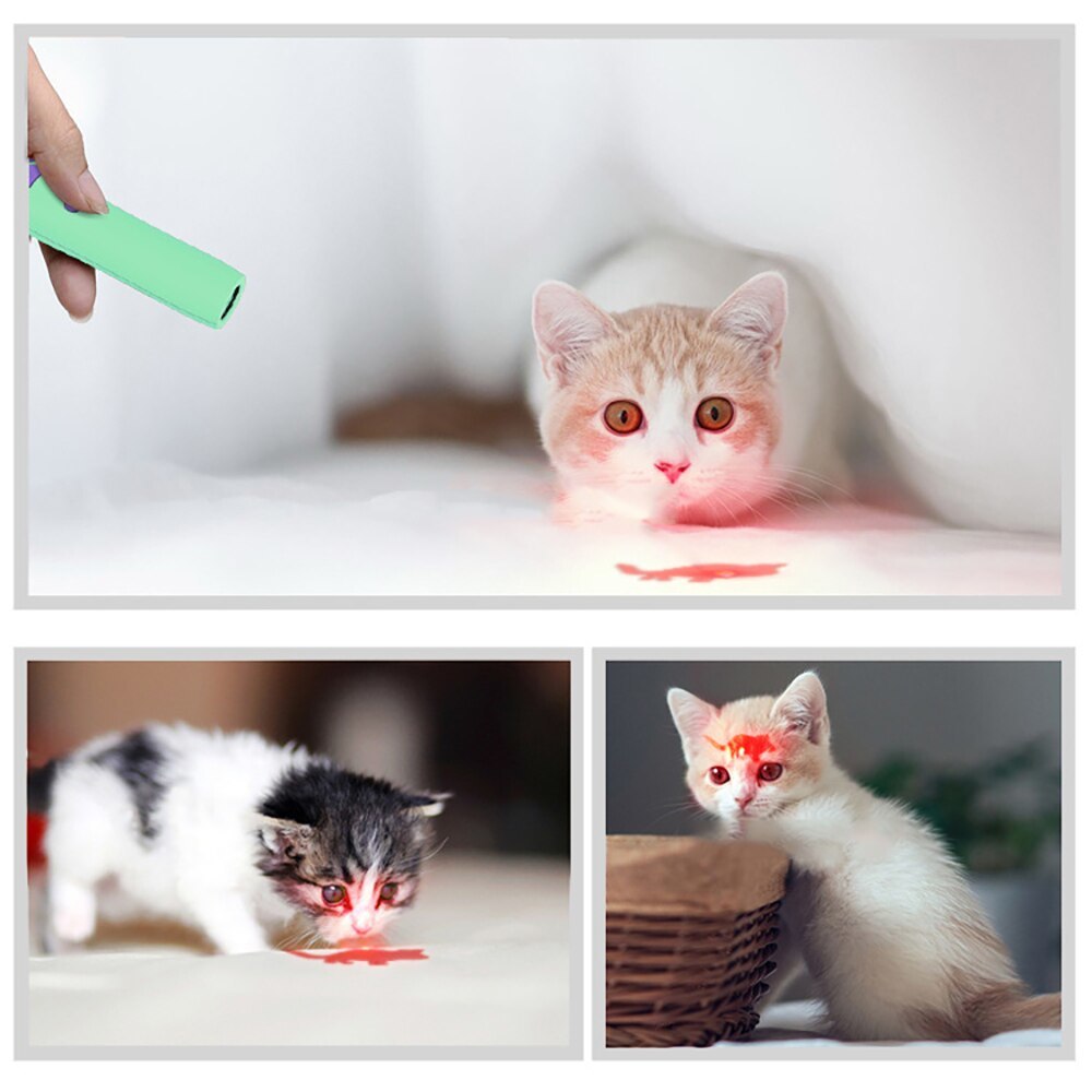 [ stock one .* purple ]LED beam . type . cat for laser pointer LED light pad light toy motion shortage -stroke less cancellation button battery type 