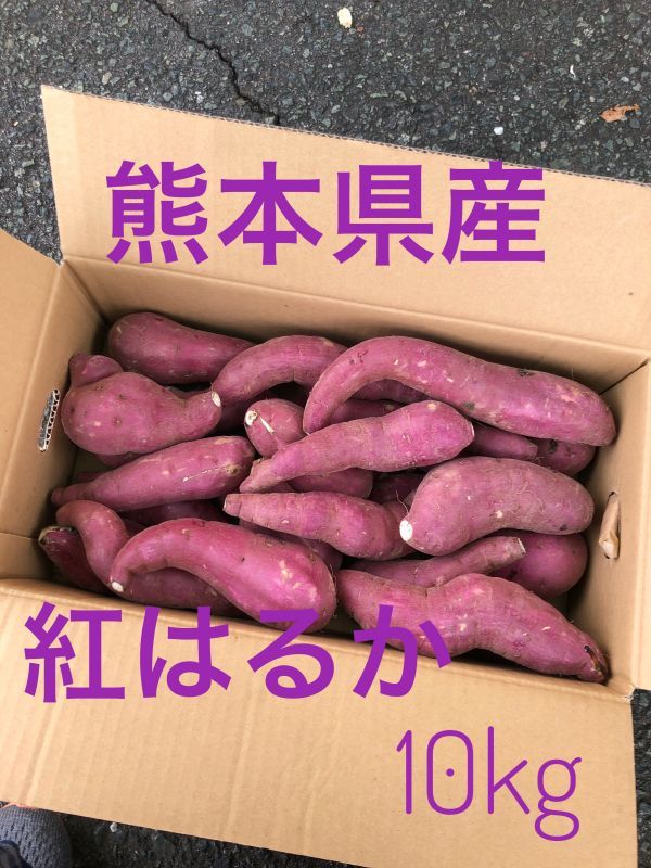 新べにはるか　10ｋｇ箱　熊本県産　送料無料！！！焼き芋のおいしい季節！！_画像1