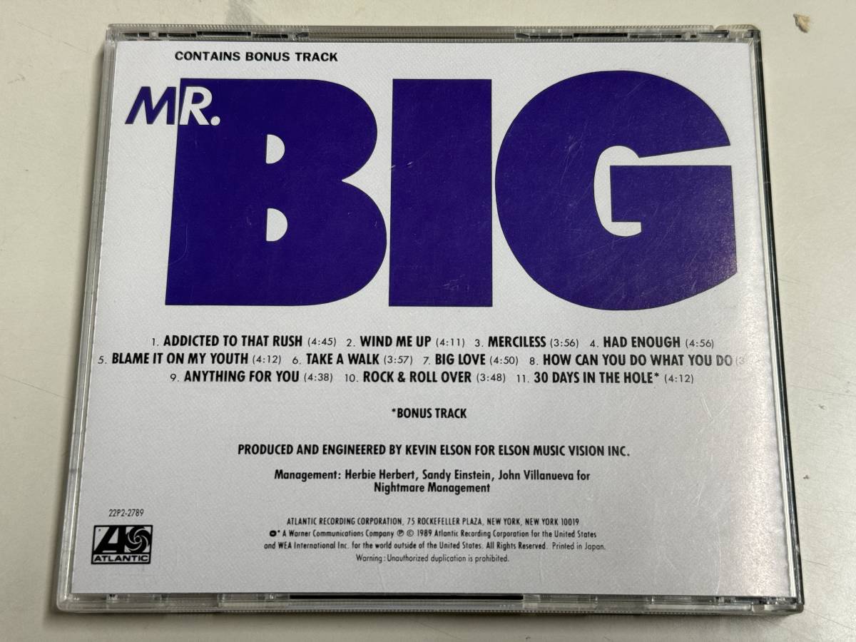 【CD美品】mr.big/ミスター・ビッグ【日本盤】_画像5