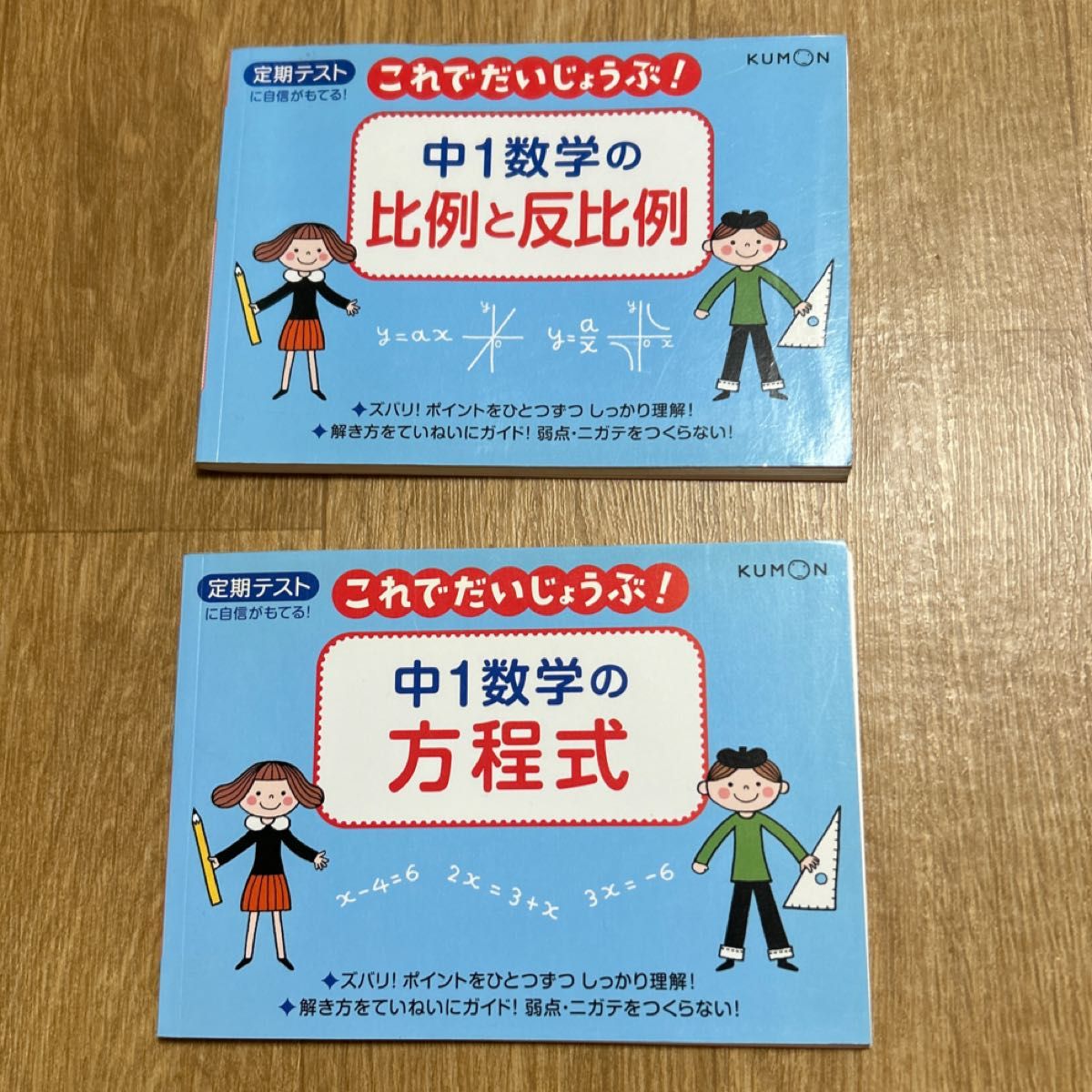 中1数学の方程式―定期テストに自信がもてる (これでだいじょうぶシリーズ)