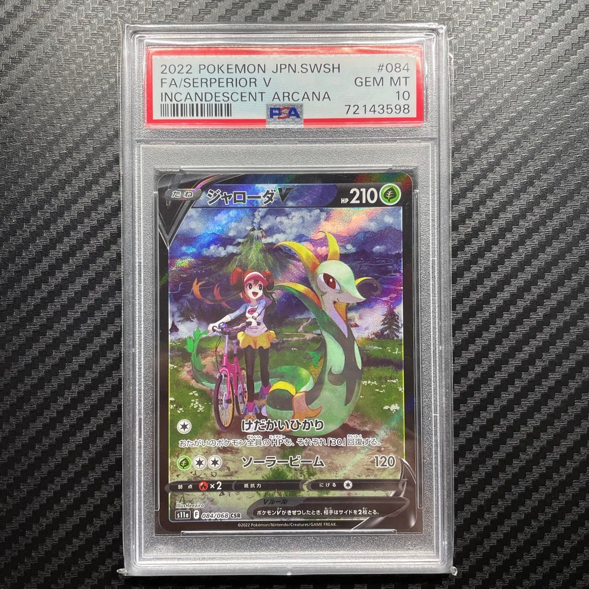 PSA10 ポケモンカードゲーム ジャローダ メイ CSR|Yahoo!フリマ PSA10 ポケモンカードゲーム ジャローダ メイ CSR|Yahoo!フリマ