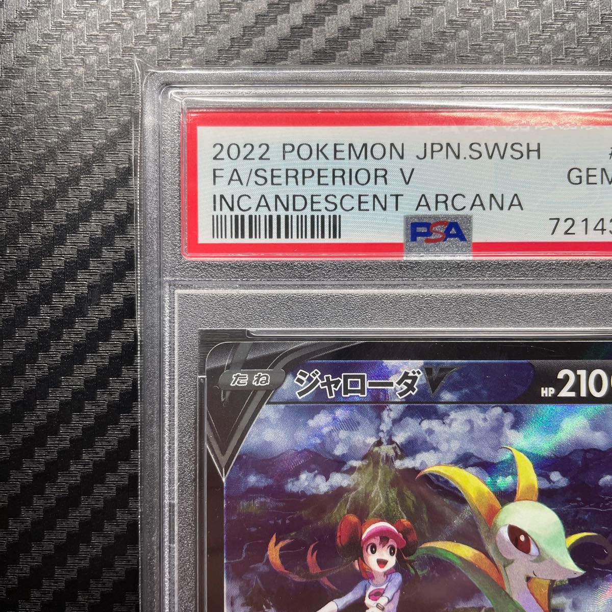PSA10 ポケモンカードゲーム ジャローダ メイ CSR|Yahoo!フリマ PSA10 ポケモンカードゲーム ジャローダ メイ CSR|Yahoo!フリマ
