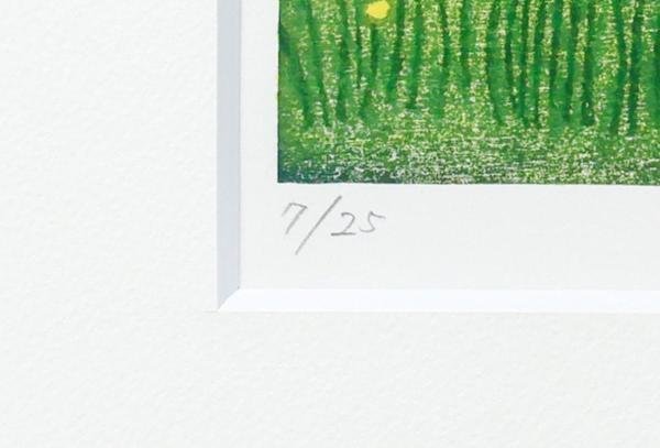 【真作】【WISH】大西靖子「ここどこかなー」木版画 直筆サイン 子猫とトンボ 　　〇多色木版 作品集「野の花の四季」他 #24022228_画像8