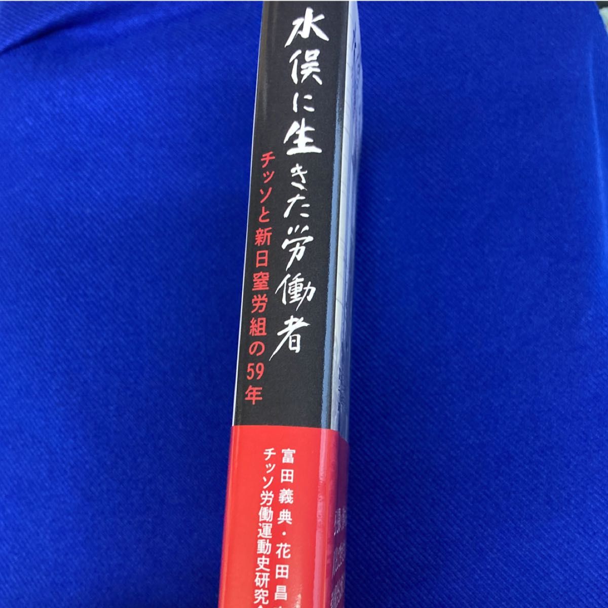 水俣に生きた労働者　チッソと新日窒労組の５９年 富田義典／編著　花田昌宣／編著　チッソ労働運動史研究会／編著