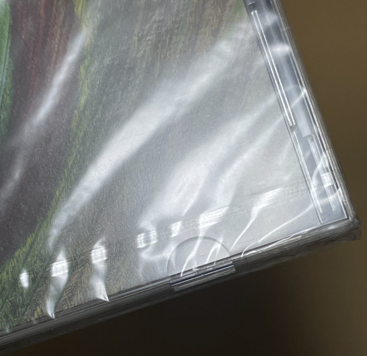 未開封 送料込 Jimmy Eat World - Chase This Light Deluxe Edition 国内盤CD2枚組 初回限定盤 / UICS9088_画像4