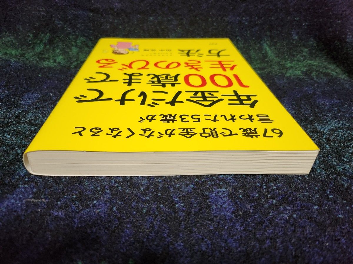 ６７歳で貯金がなくなると言われた５３歳が年金だけで１００歳まで生きのびる方法 田中佑輝／著