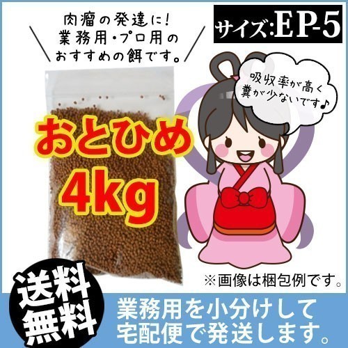 148-09-013 * courier service * Tohoku * Hokkaido * Okinawa is shipping un- possible * day Kiyoshi circle .. charge ....EP5(...)4kg goldfish small shop -.- Fukuoka 