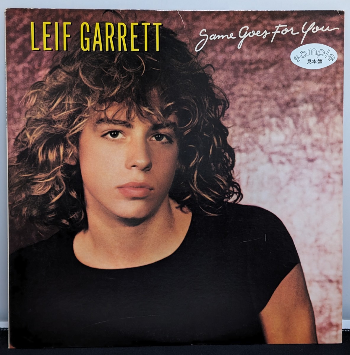 LP 見本盤　Leif Garrett / Same Goes For You　レイフギャレット 恋はロック ンロール P-10759S　(02066_画像1