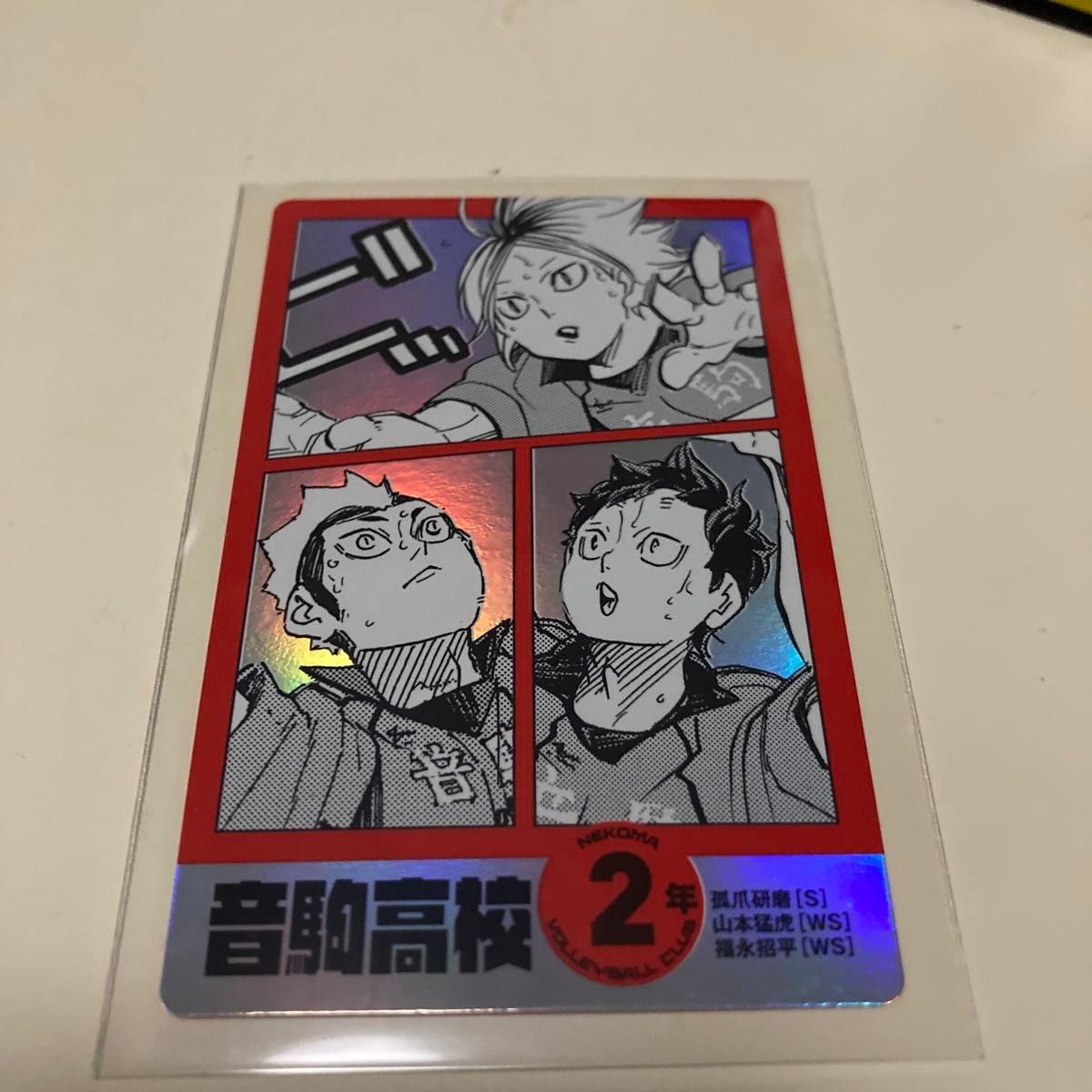 書店 ゴミ捨て場の決戦 ハイキュー!! 特典 キャラクターカード 音駒高校 2年