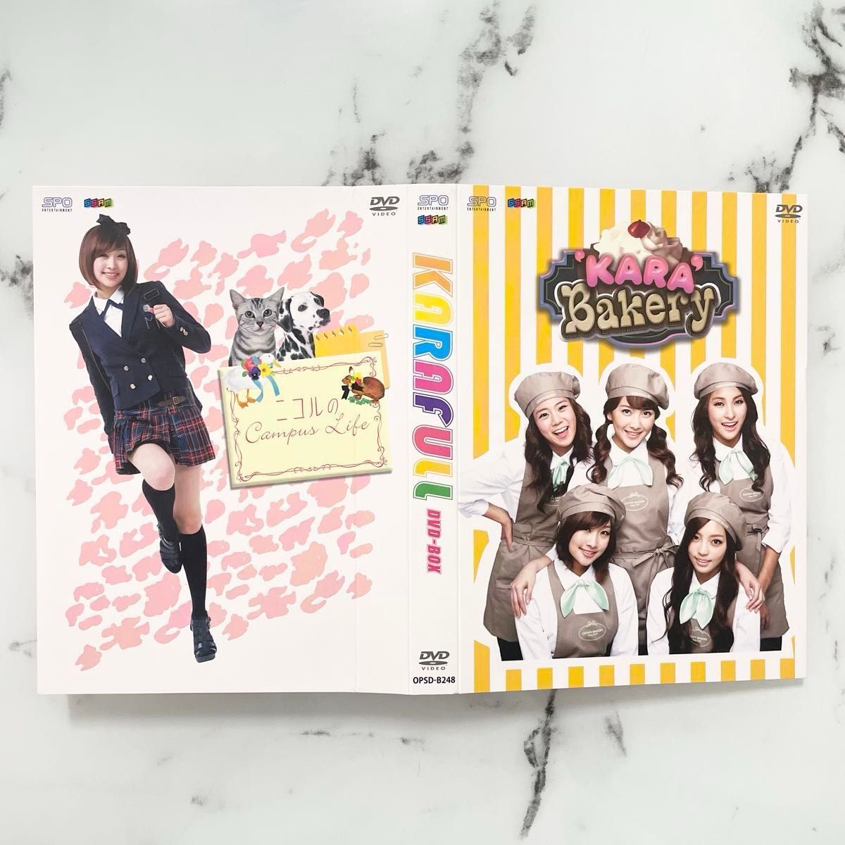 【超美品】KARA 韓国 KPOP DVD BOX