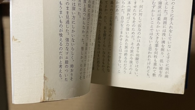 シミあり