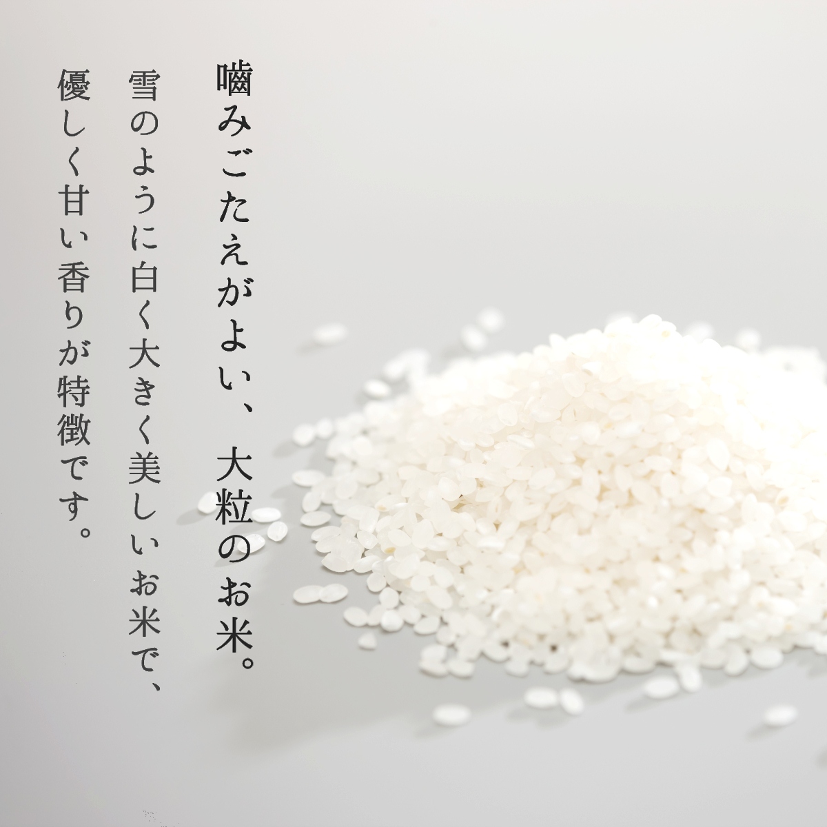 雪若丸 5kg×2袋 山形県産 送料無料 玄米 白米 新米 令和5年産 精米無料 一等米 米 お米 30kg 20kg も販売中_画像4