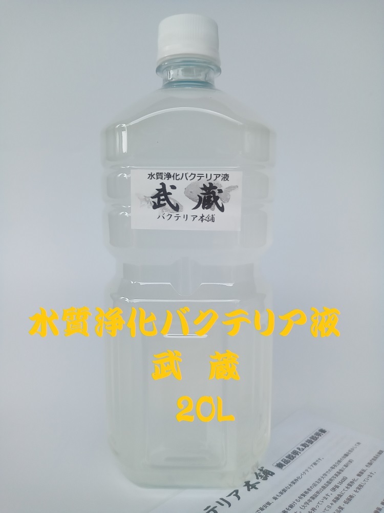 【バクテリア本舗】武蔵 [20L]高濃度水質浄化バクテリア液(らんちゅう,めだか,グッピー,金魚,錦鯉,シュリンプ,熱帯魚,海水魚）の画像1