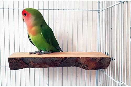 止まり木りんごの木 パーチ インコ オウム 自然木 鳥 オウム 文鳥 おやすみボード 止まり台 噛むおもちゃ ケージアクセサリー_画像6