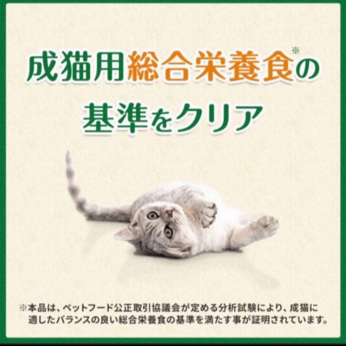 グリニーズ 猫用 歯磨き専用スナック チキン味＆サーモン味 旨味ミックス 130g×3袋