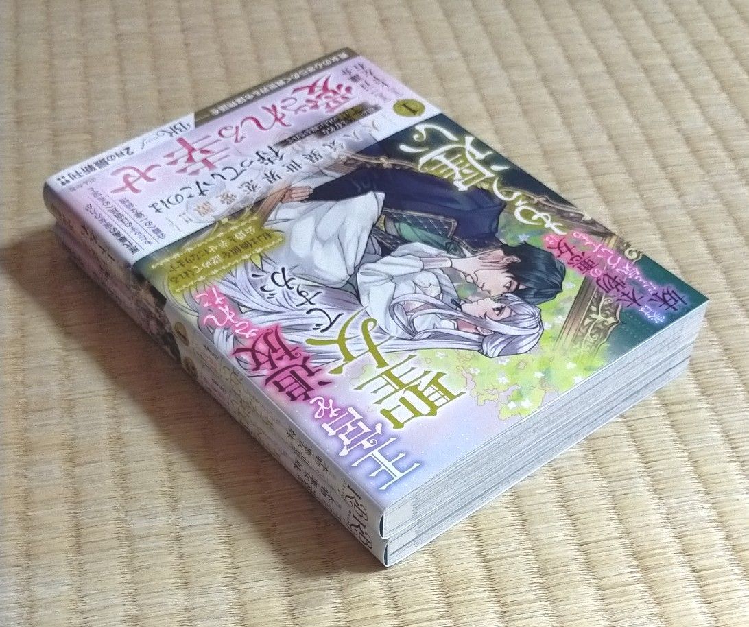 王宮を追放された聖女ですが、実は本物の悪女は妹だと気づいてももう遅い　私は価値を認めてくれる公爵と幸せになります　１巻2巻