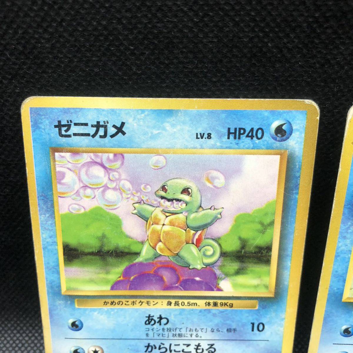 ポケモンカード 旧裏 旧裏面 ゼニガメ カメール セット|Yahoo ポケモンカード 旧裏 旧裏面 ゼニガメ カメール セット|Yahoo