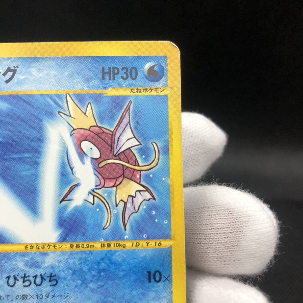 ポケモンカード webカード コイキング|Yahoo!フリマ(旧PayPay ポケモンカード webカード コイキング|Yahoo!フリマ(旧PayPay
