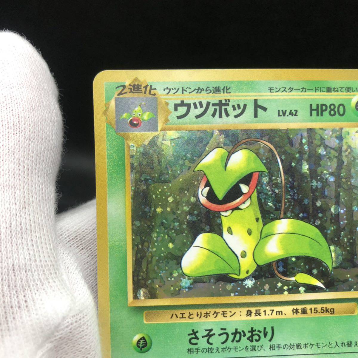 ポケモンカード 旧裏 旧裏面 キラ ウツボット|Yahoo!フリマ(旧 ポケモンカード 旧裏 旧裏面 キラ ウツボット|Yahoo!フリマ(旧
