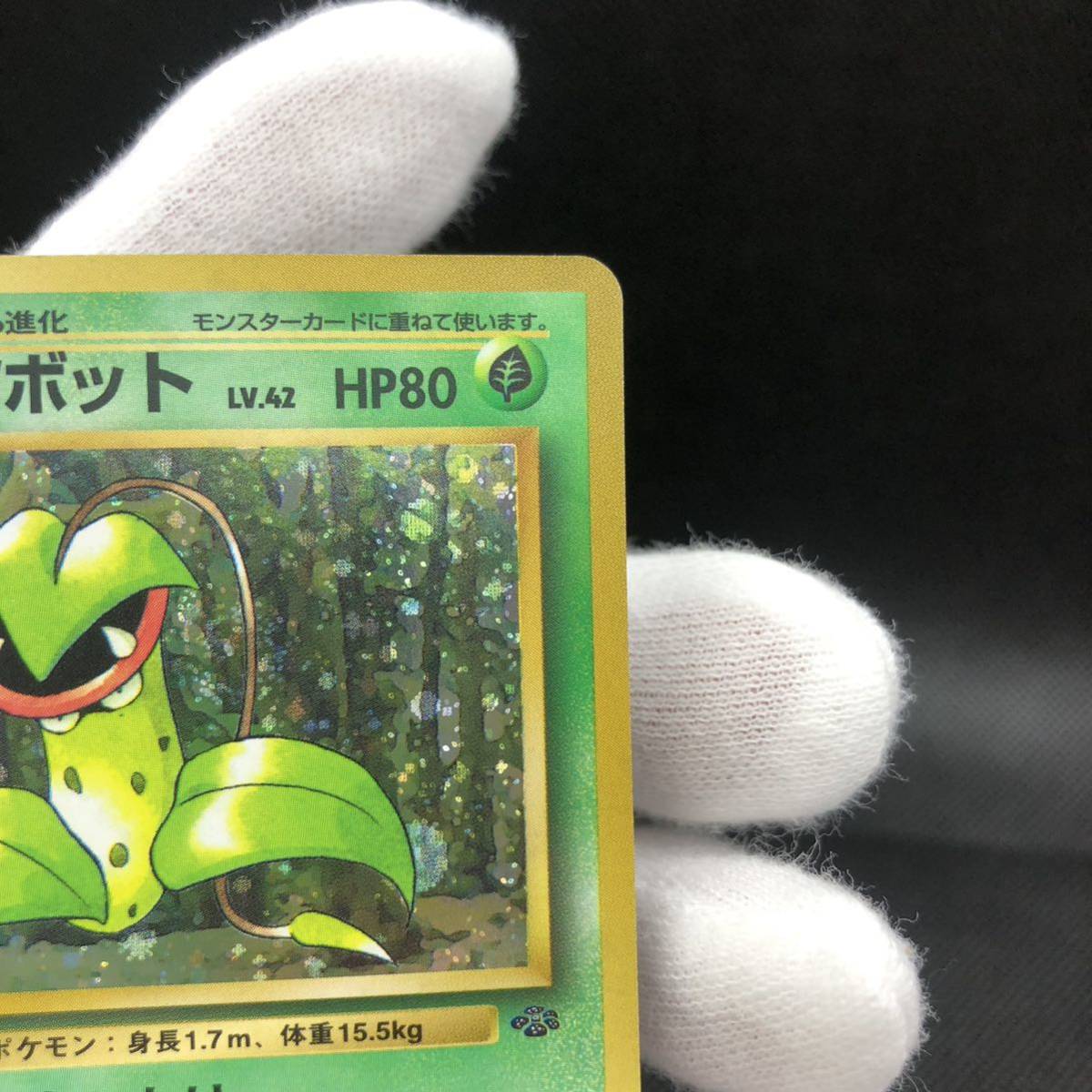 ポケモンカード 旧裏 旧裏面 キラ ウツボット|Yahoo!フリマ(旧 ポケモンカード 旧裏 旧裏面 キラ ウツボット|Yahoo!フリマ(旧