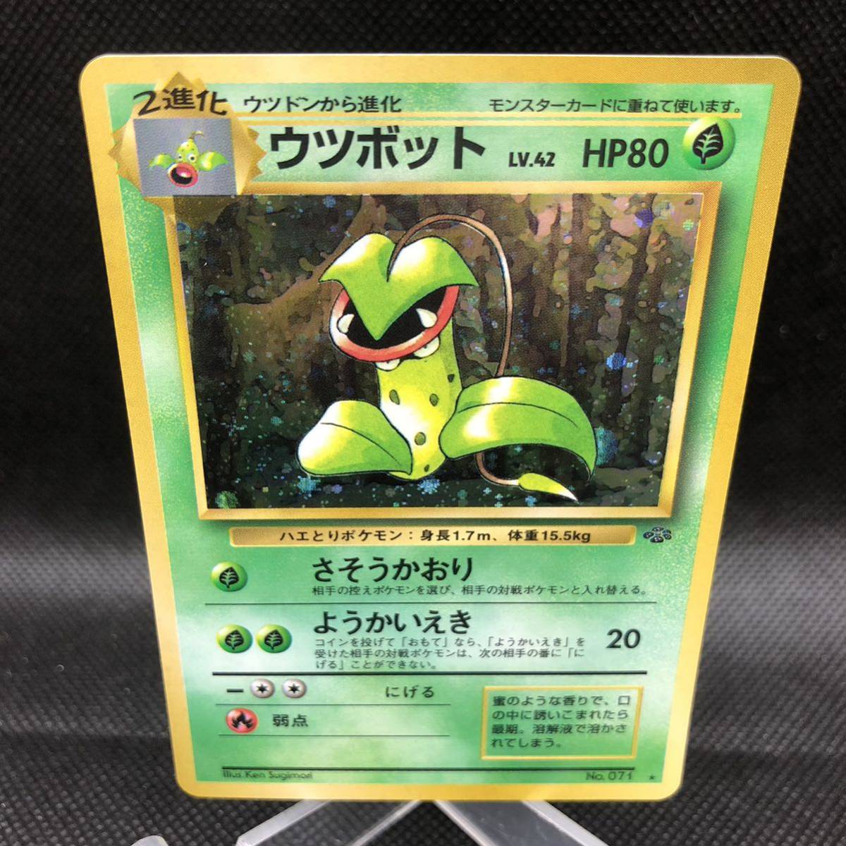 ポケモンカード 旧裏 旧裏面 キラ ウツボット|Yahoo!フリマ(旧 ポケモンカード 旧裏 旧裏面 キラ ウツボット|Yahoo!フリマ(旧