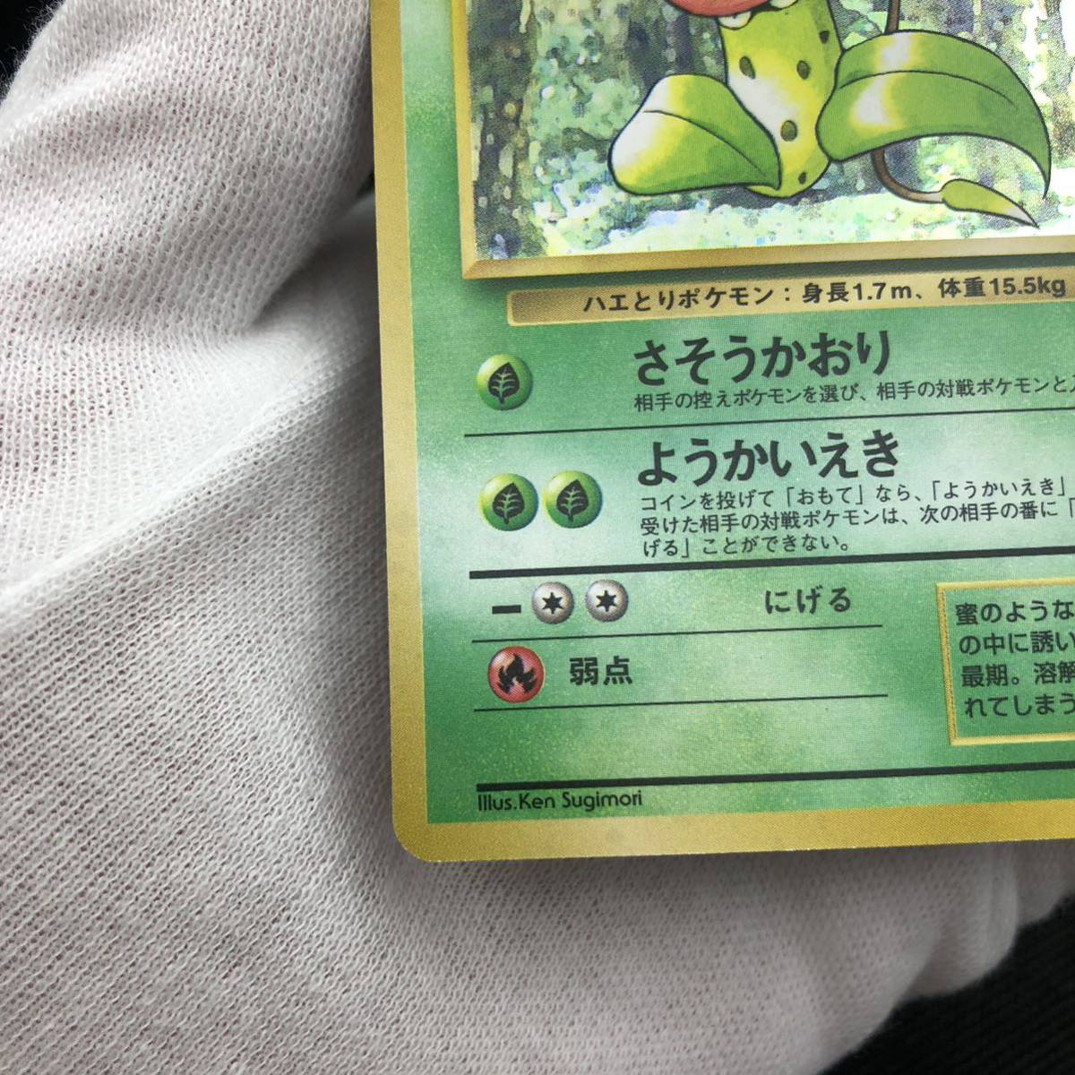 ポケモンカード 旧裏 旧裏面 キラ ウツボット|Yahoo!フリマ(旧 ポケモンカード 旧裏 旧裏面 キラ ウツボット|Yahoo!フリマ(旧