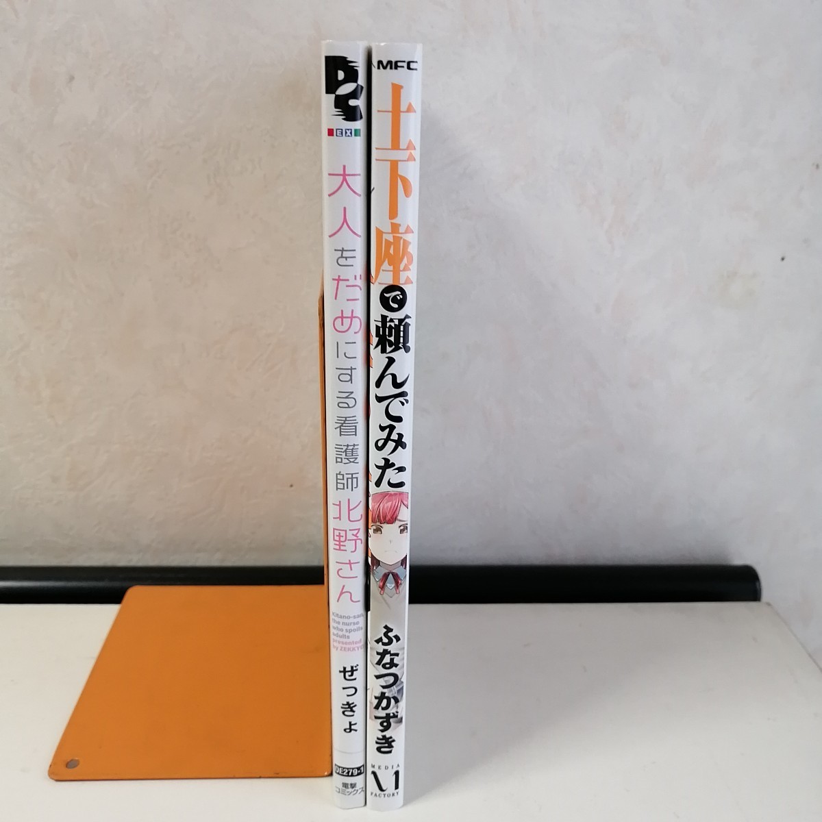 【カラーコミック 2冊】 ◇大人をだめにする看護師北野さん（1）　/　ぜっきょ　◇土下座で頼んでみた　/　ふなつかずき　 【送料込 匿名】