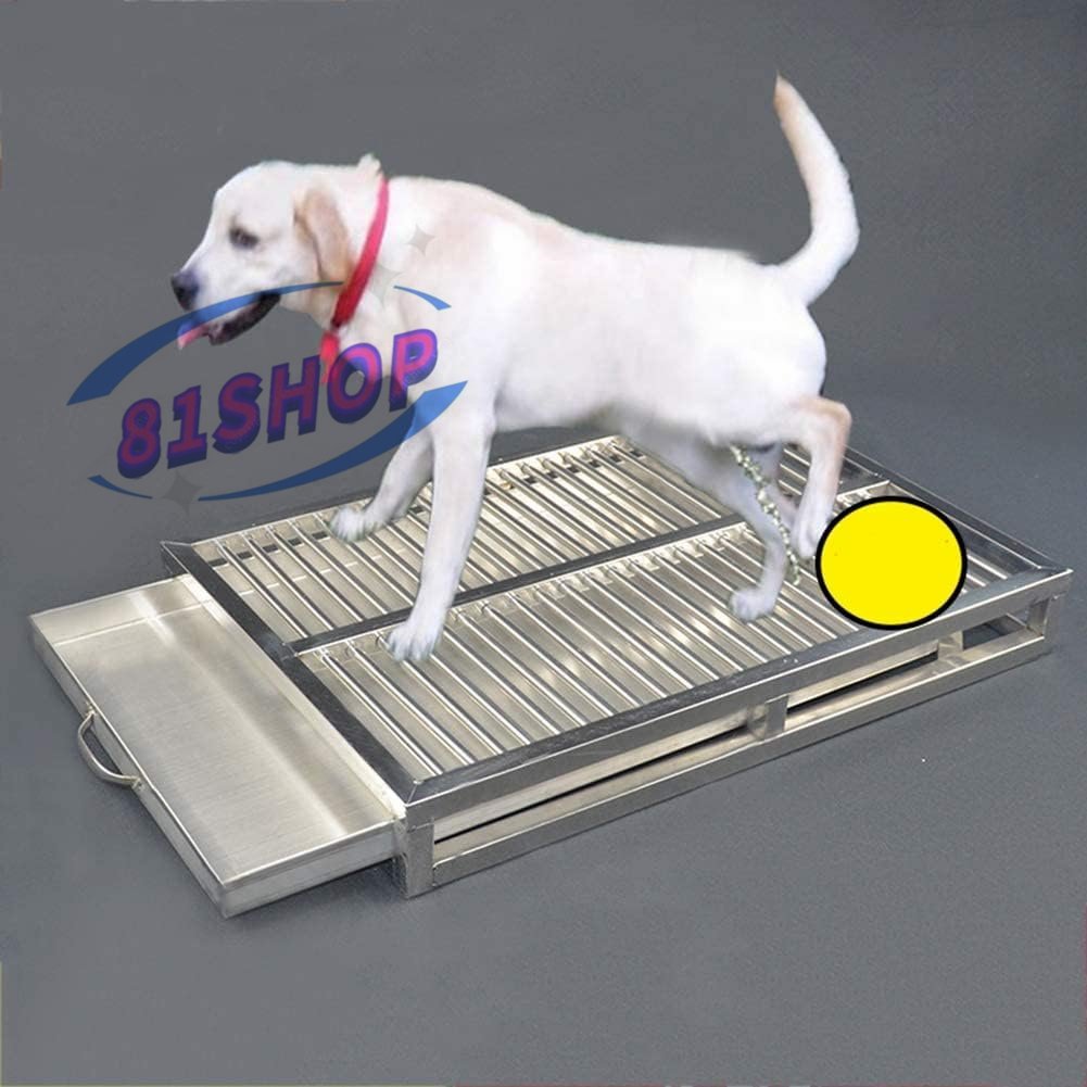 「81SHOP」犬 トイレ、ステンレス鋼の犬のトイレ，ステンレススチールペットトレーニングトレイ，ペットトレーニングノンスリップ