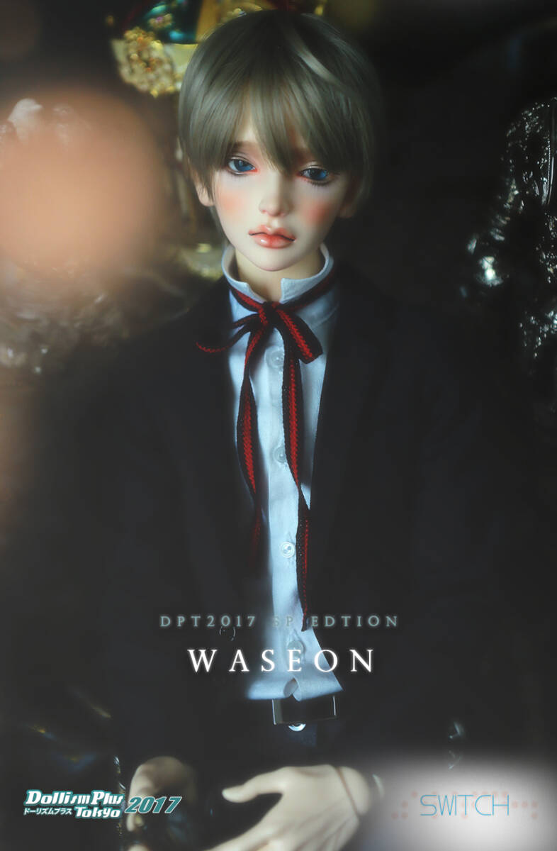 SWITCH　WASEONヘッド　ノーマル肌　Dollism2017限定_画像8