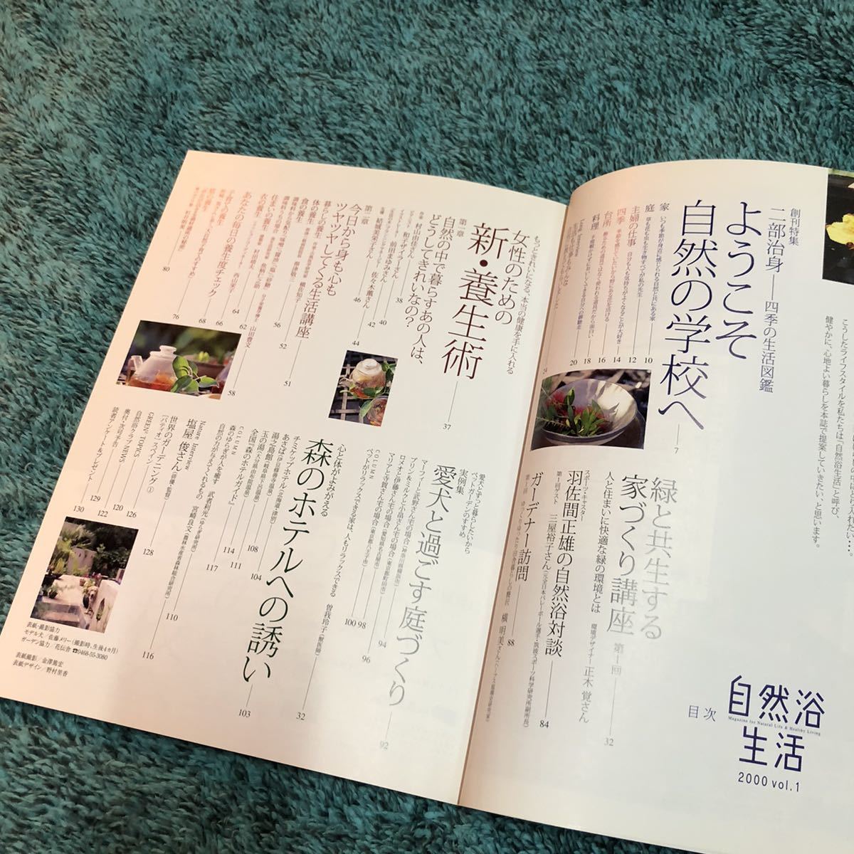 小学館 Green Mook 2000 vol.1 自然浴生活 創刊号 雑誌 古本 二部治身 養生術 四季の生活 暮らし 緑 グリーン サスティナブル エコ_画像4