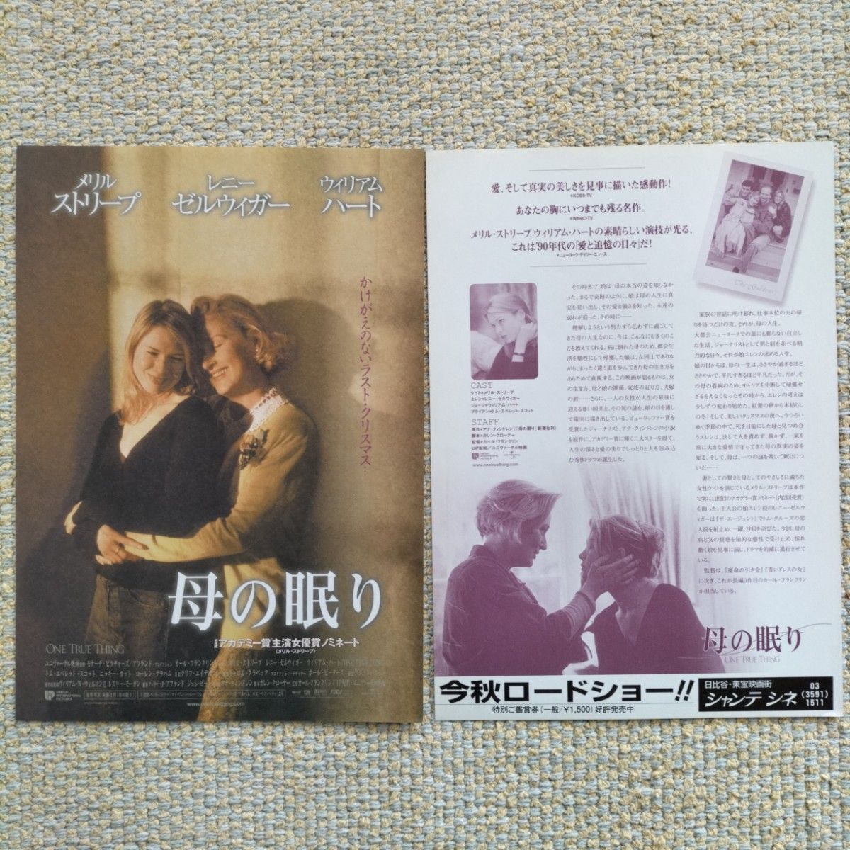 レニー・ゼルウィガー出演映画のポスター、チラシ、ポストカード