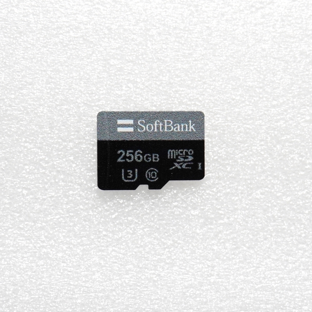 ■ microSDXC 256GB ■  動作品 フォーマット済 ジャンク 扱い microsd Microsd / S12034の画像1