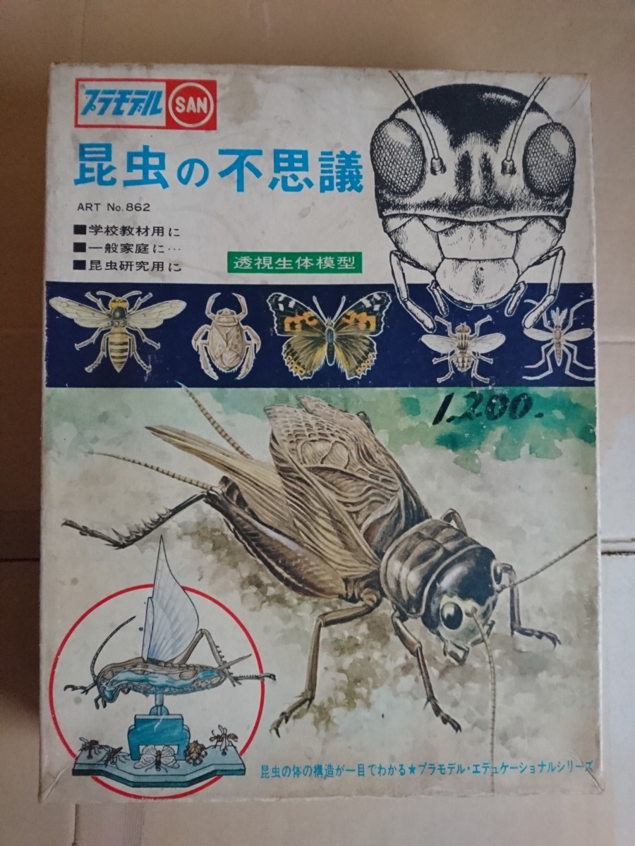 絶版 昆虫の不思議 マルサン製 (新品) マルサン製 『同梱不可』_画像1