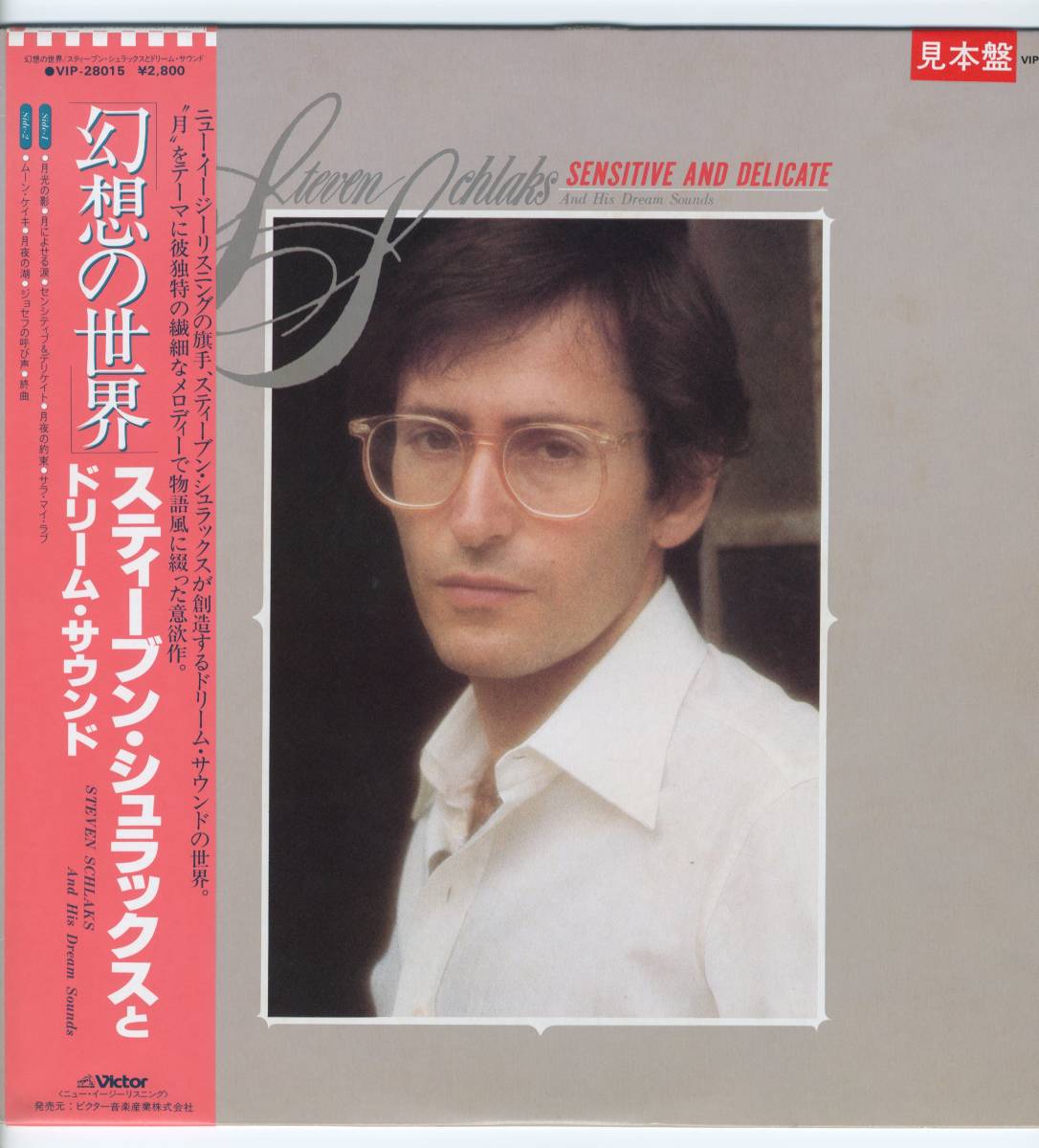 LP 見本盤　スティーブン・シュラックスとドリーム・サウンド　幻想の世界 STEVEN SCHLAKS / SENSITIVE AND DELICATE【Y-697】_画像1