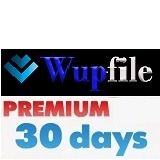 【評価数3000以上の実績】Wupfile プレミアム 30日間【安心サポート】_画像1