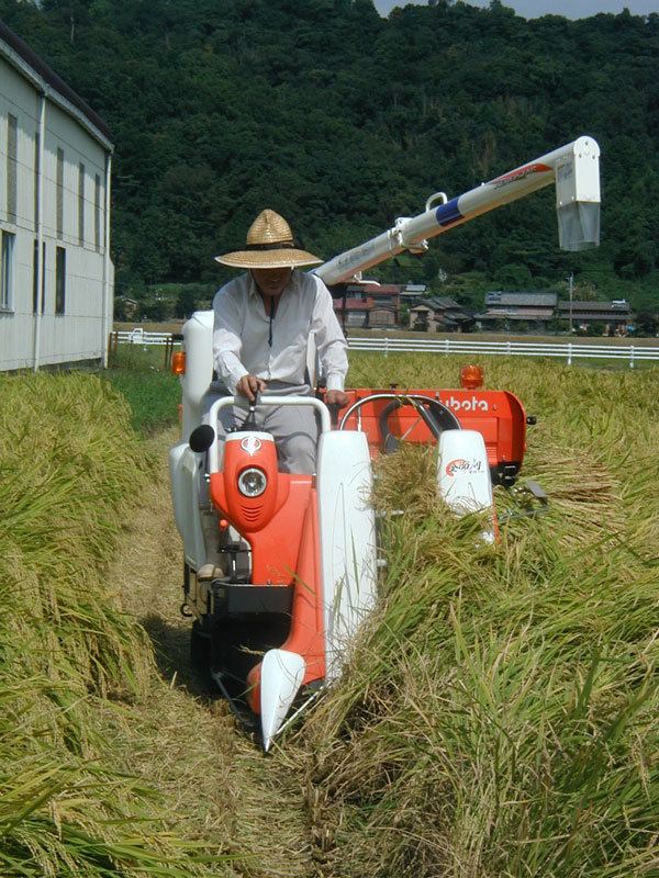 ☆令和５年産新米☆　大分・国東産　なつほのか☆　２_画像3