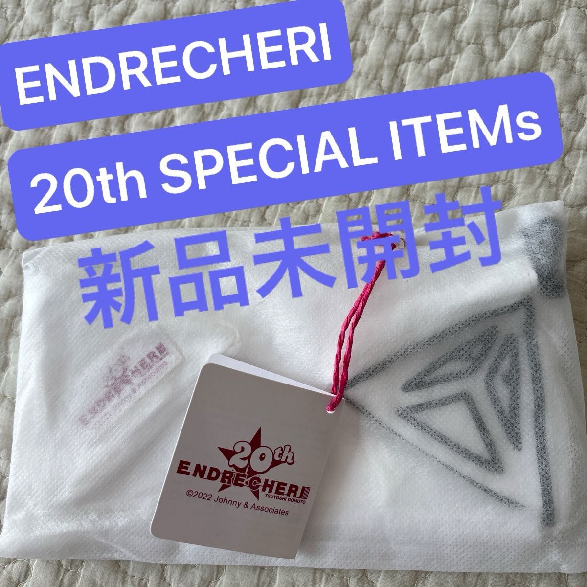 堂本剛 ENDRECHERI 20th SPECIAL ITEMs ポーチ