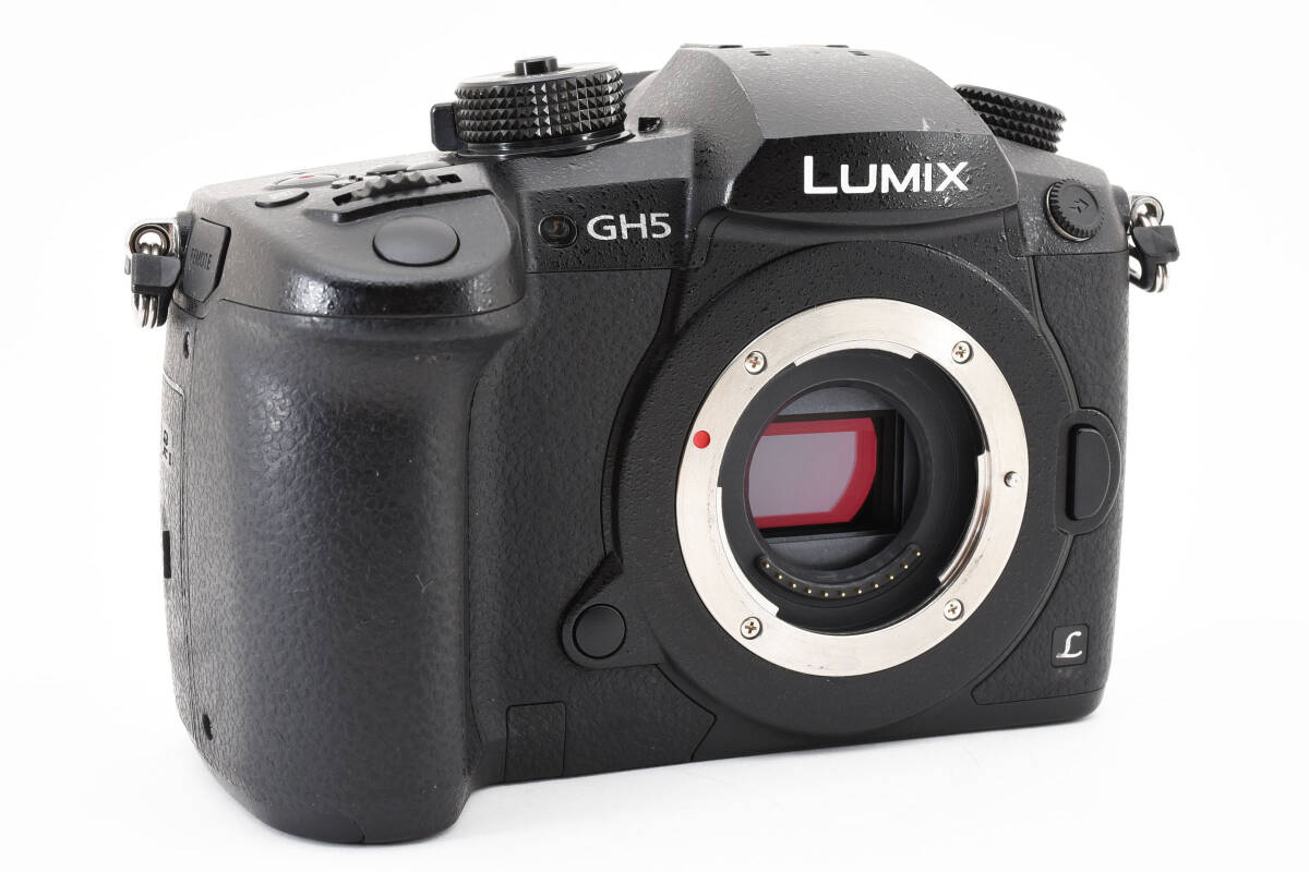 ★良品★ パナソニック Panasonic LUMIX DMC-GH5 ボディ #5348_画像4