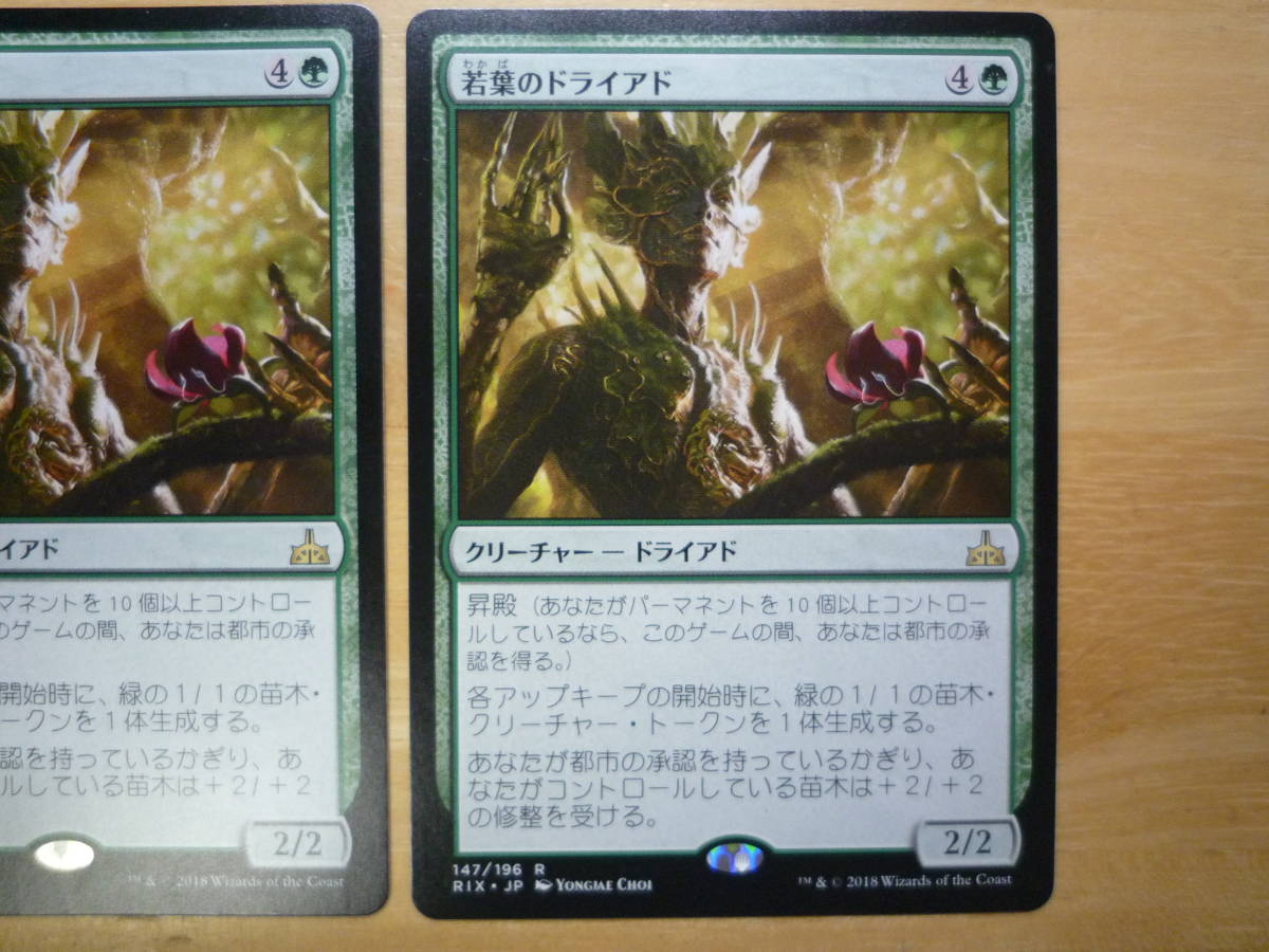 MTG　RIX　若葉のドライアド/Tendershoot Dryad　日本語　4枚_画像2