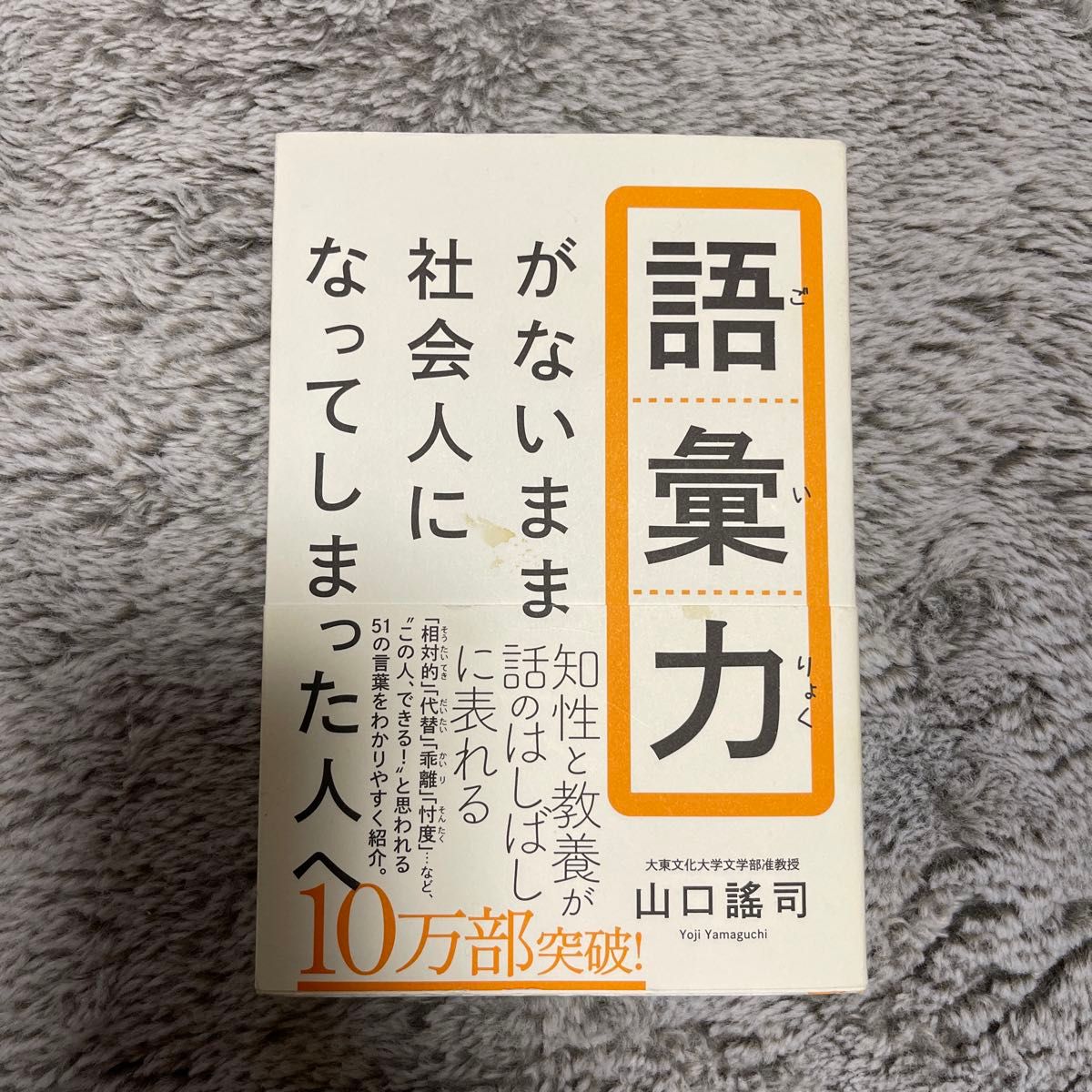  語彙力がないまま社会人になってしまった人へ 山口謠司／著