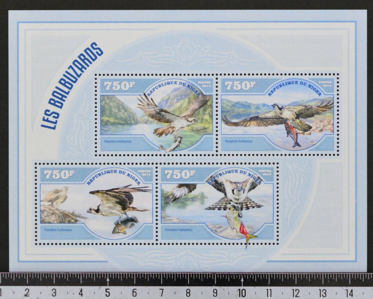 「TF245」ニジェール切手　2014年 鳥_画像1
