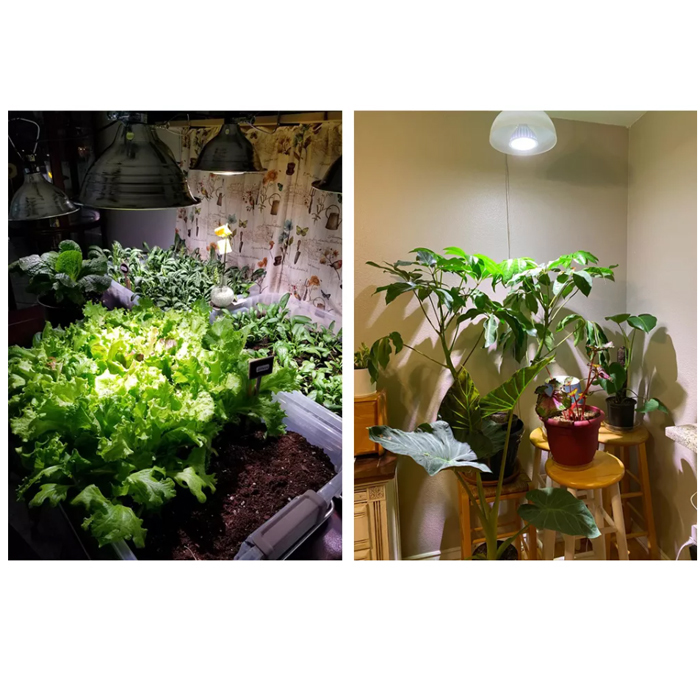  максимально высокий спецификация растения выращивание специальный LED SOLEILso Laile 40W застежка E26 растения выращивание свет декоративное растение террариум 