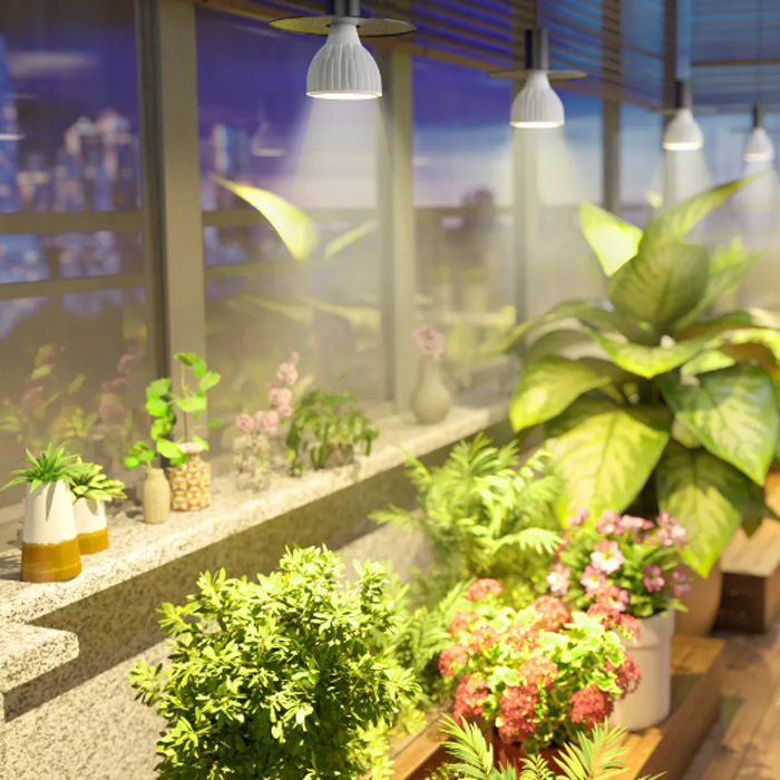  максимально высокий спецификация растения выращивание специальный LED SOLEILso Laile 40W застежка E26 растения выращивание свет декоративное растение террариум 