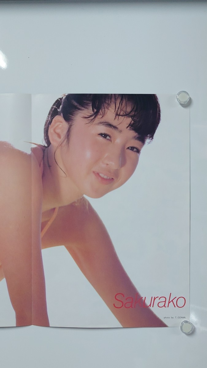 菊池桃子　ポスター　KIKUCHI MOMOKO　女性タレント　アイドル 裏面はさくらこ_画像9